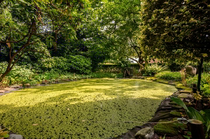 Foto 86 van Eekterweg 25