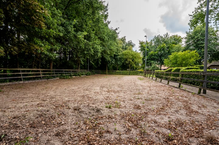 Foto 93 van Eekterweg 25