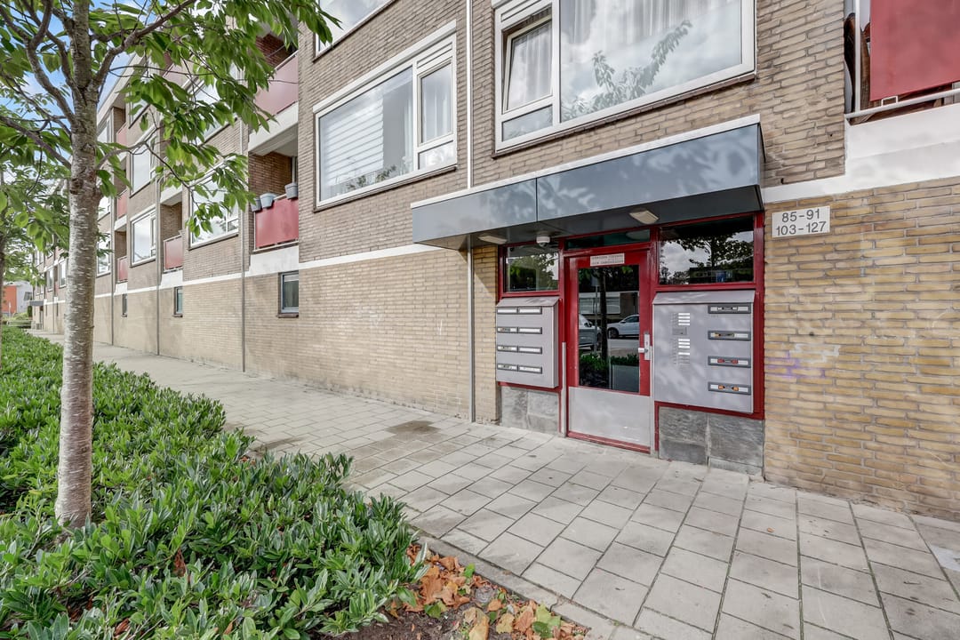 Foto 23 van Groen van Prinstererweg 125