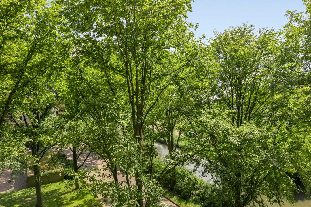 Foto 8 van Langswater 578