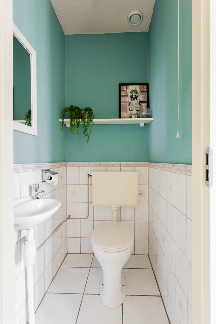 Foto 47 van Ruskenstukken 24