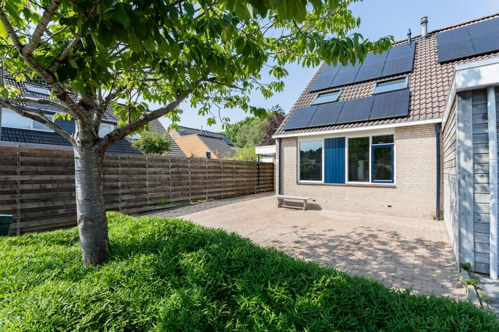 Foto 48 van Ruskenstukken 24