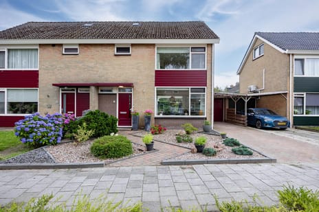 undefined main image