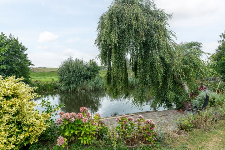 Foto 3 van Rinewâl 10