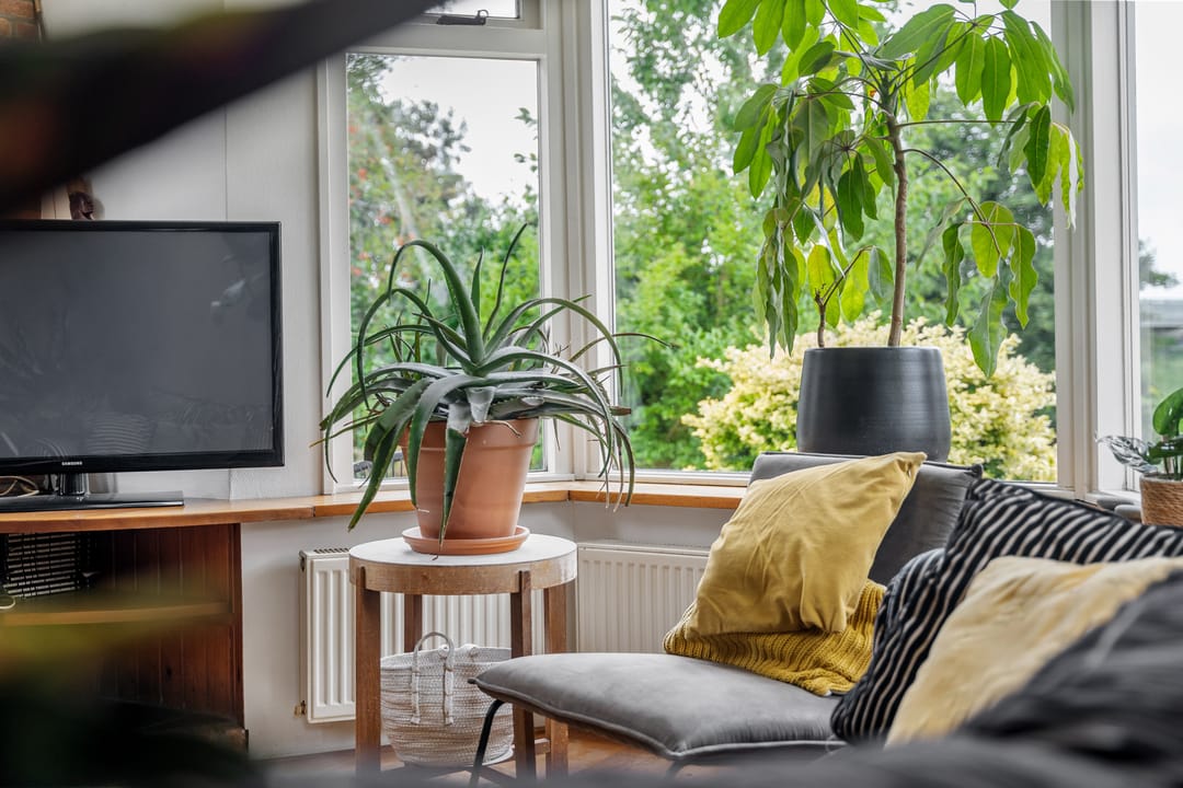 Photo 11 of Rinewâl 10