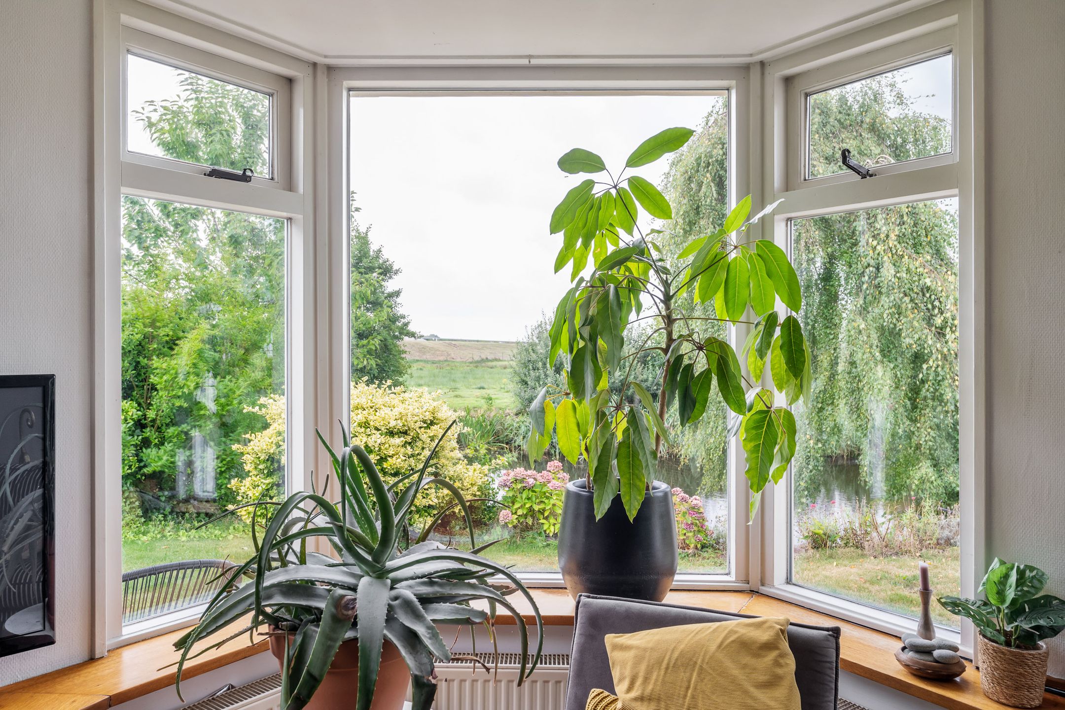 Photo 12 of Rinewâl 10