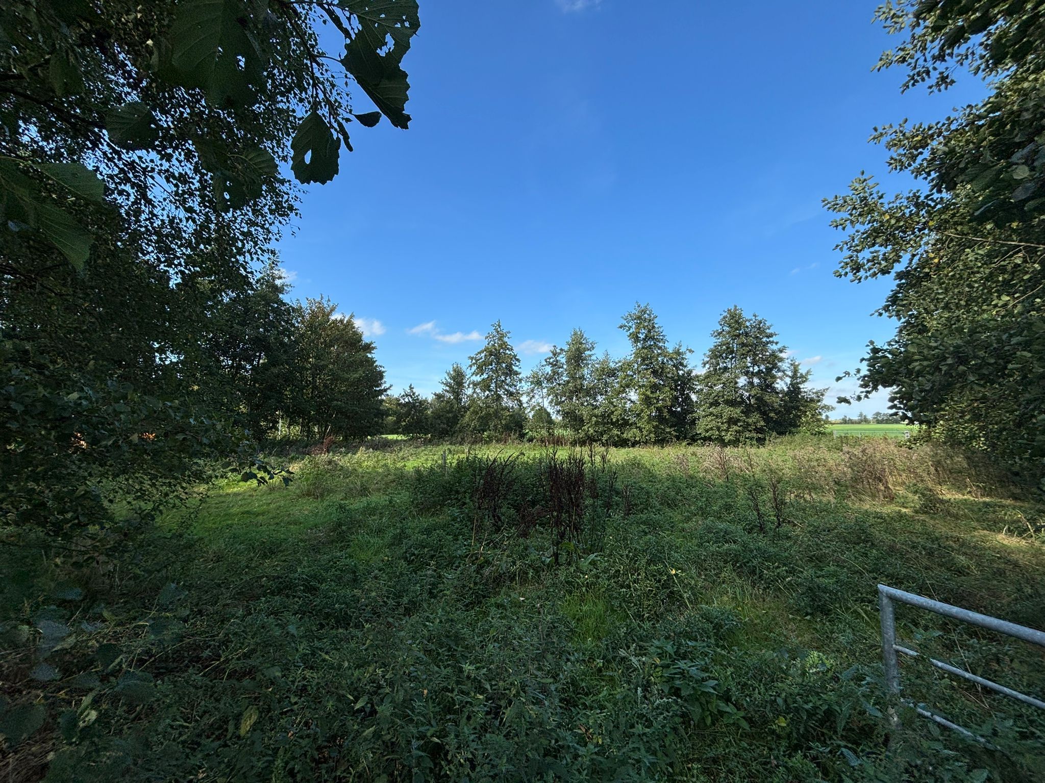 Photo 27 of Rinewâl 10