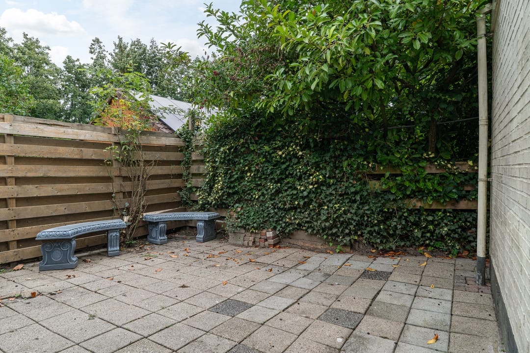 Photo 31 of Rinewâl 10