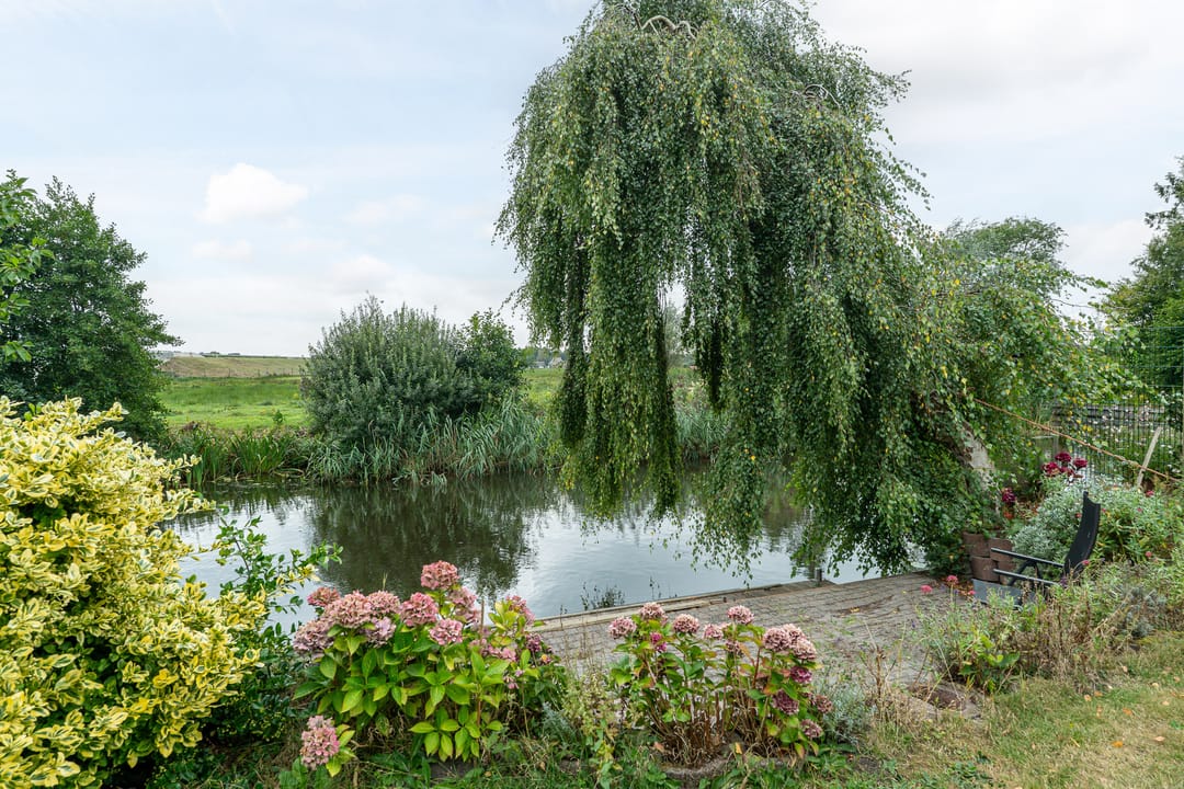 Photo 38 of Rinewâl 10