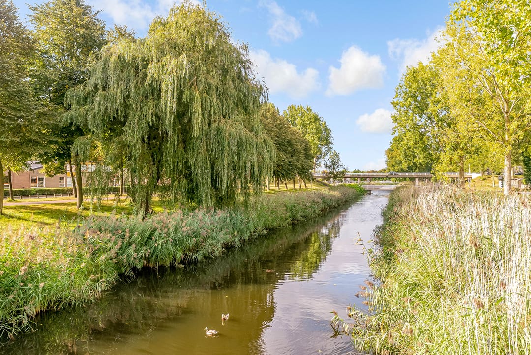 Foto 41 van Zonnebloemweg 28