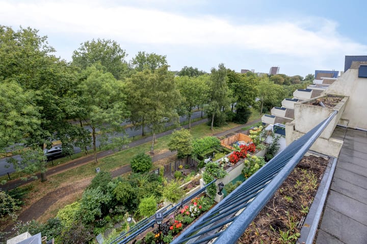 Photo 22 of Sint Hubertus 554