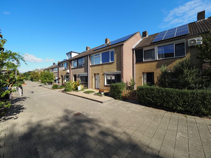 Foto 2 van Jan van Goijenstraat 55