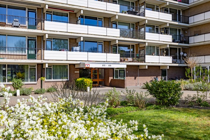 Foto 35 van Hammarskjöldlaan 591