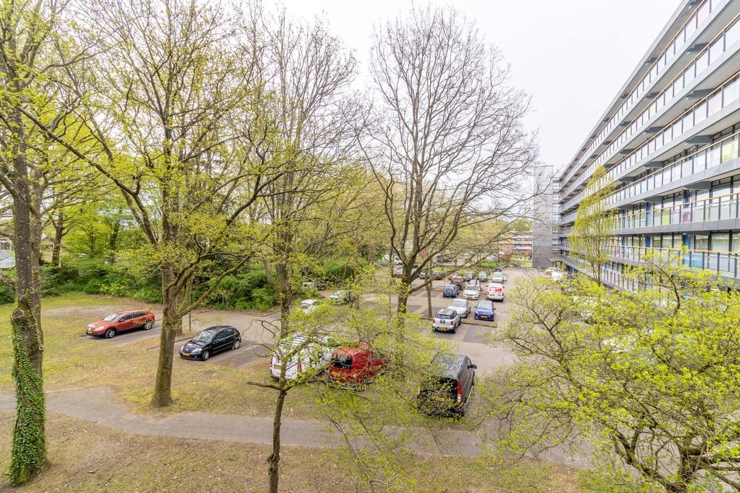 Foto 8 van Weegbreestraat 205-C28