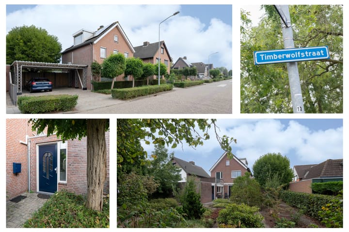 Photo 2 of Timberwolfstraat 13