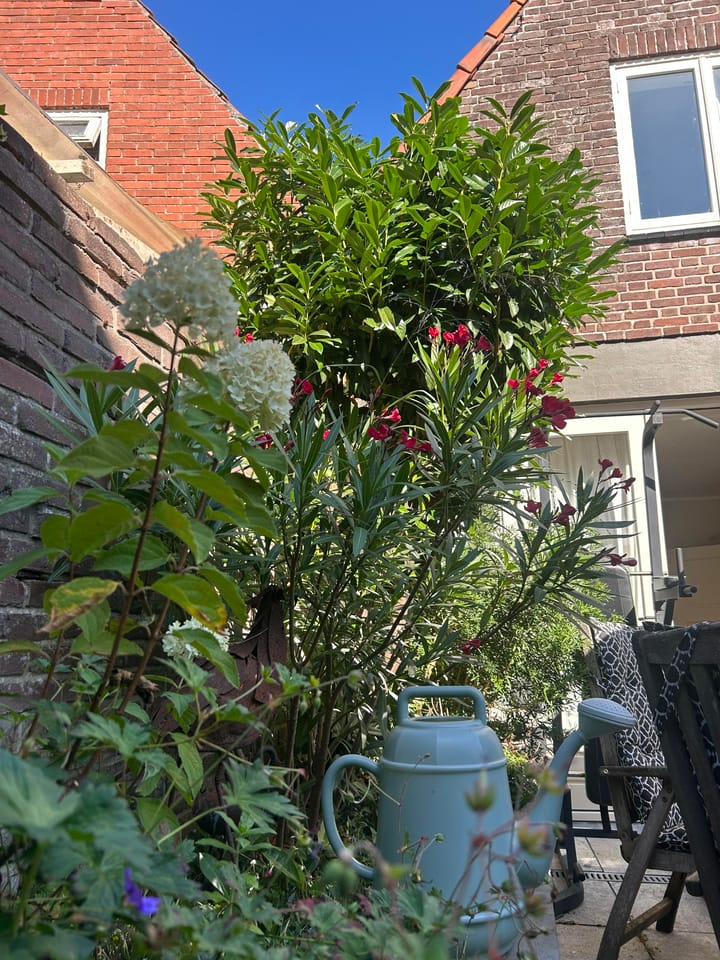 Foto 28 van Kloostersingel 9