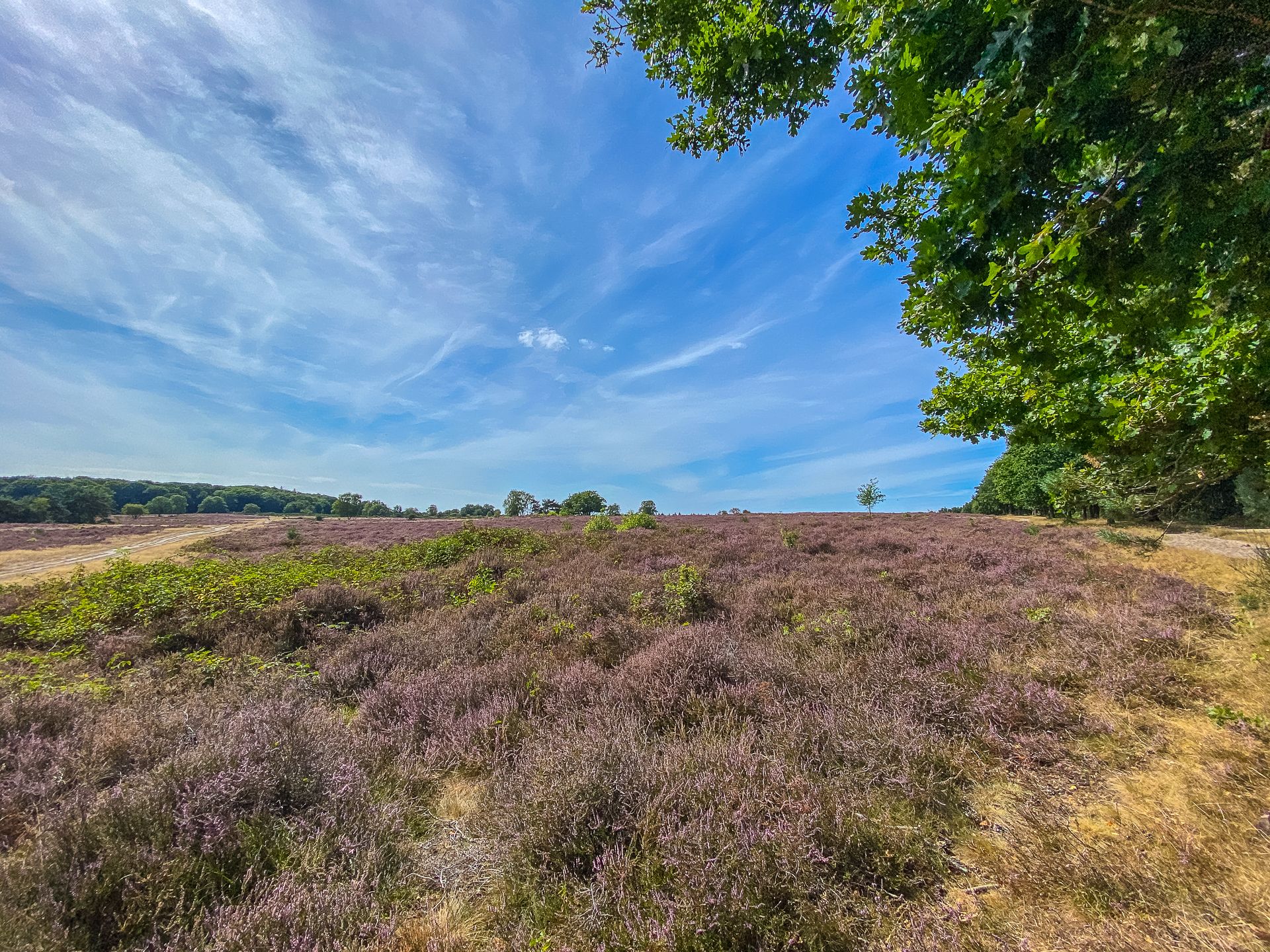 Foto 36 van Admiraal de Ruyterlaan 30