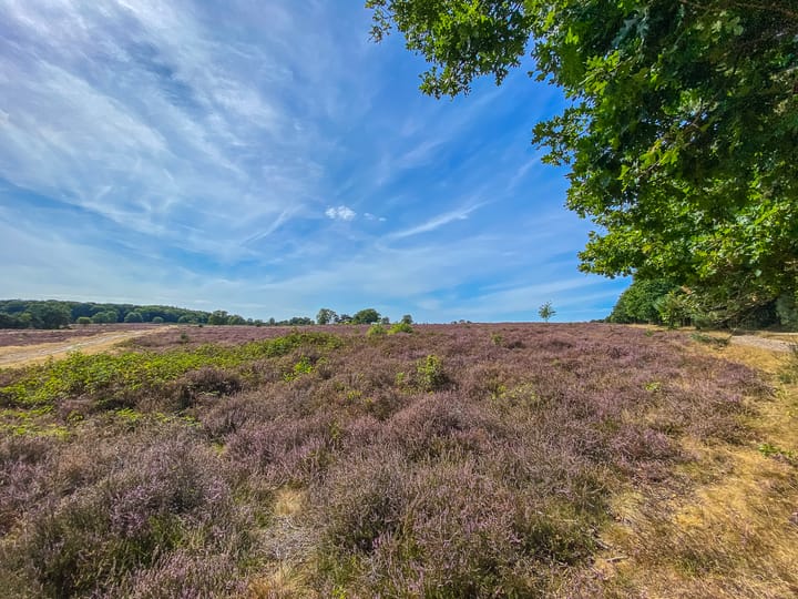 Foto 36 van Admiraal de Ruyterlaan 30