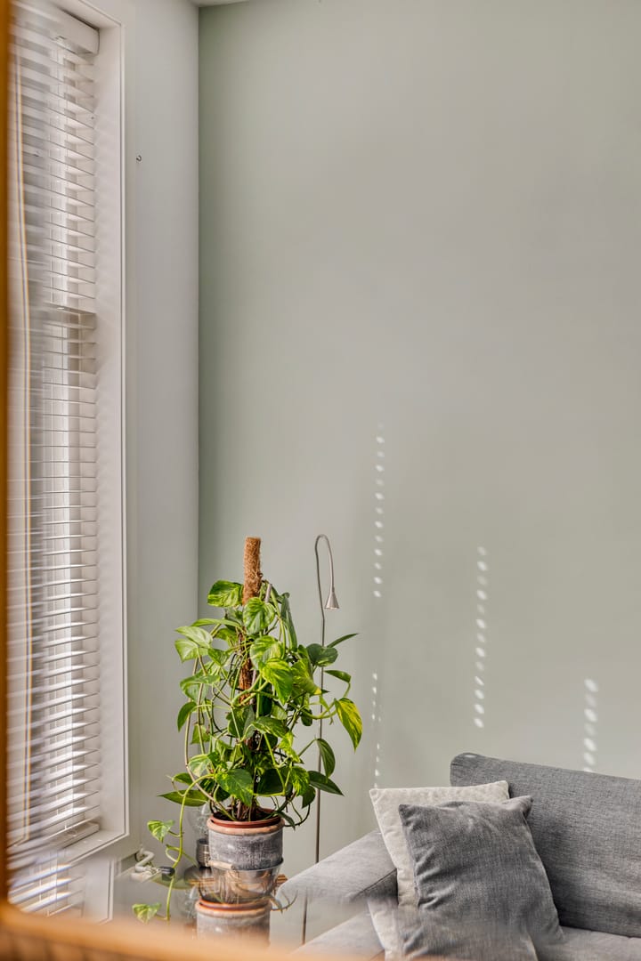 Foto 54 van Hoefstraat 42