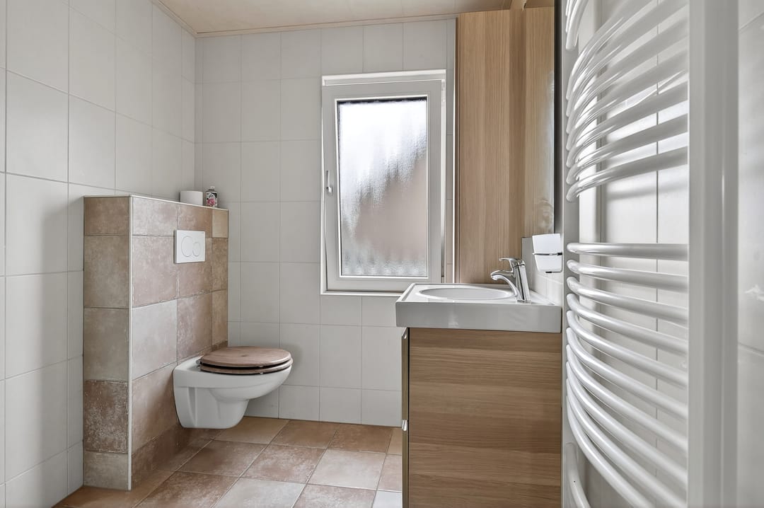 Foto 22 van Hanenslag 19