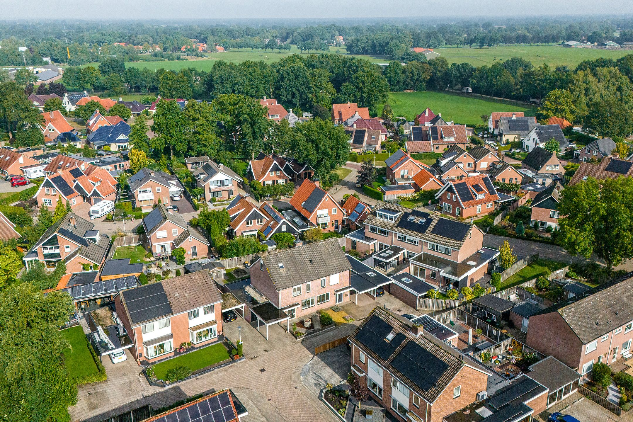 Foto 42 van Hanenslag 19