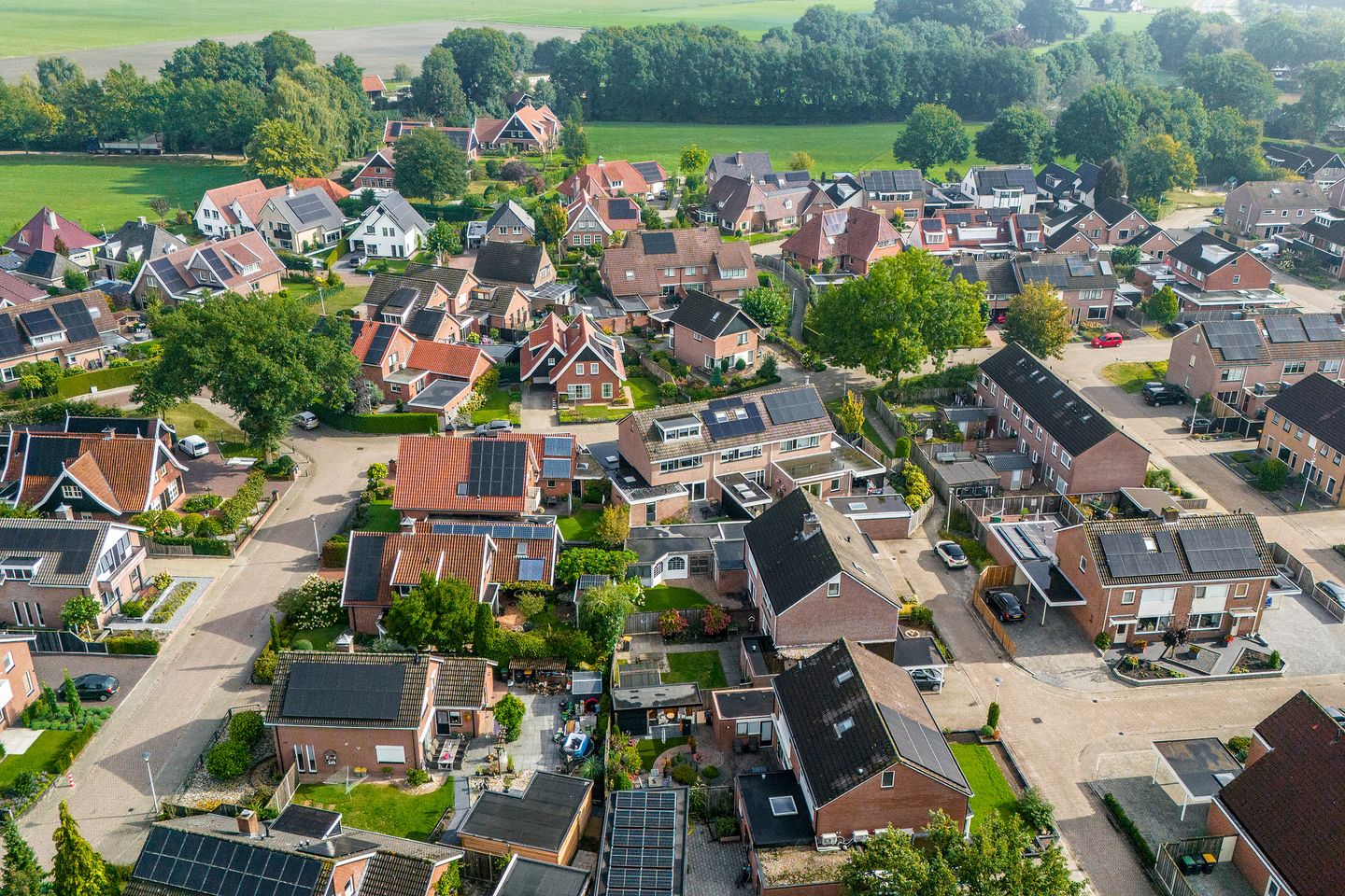 Foto 44 van Hanenslag 19