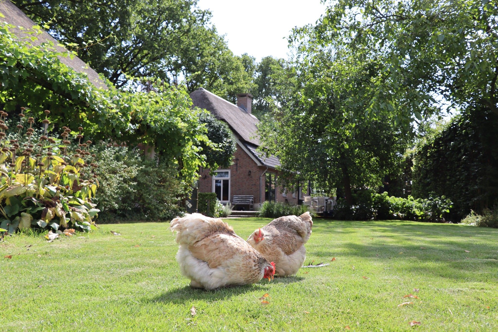 Foto 66 van Vleutstraat 1