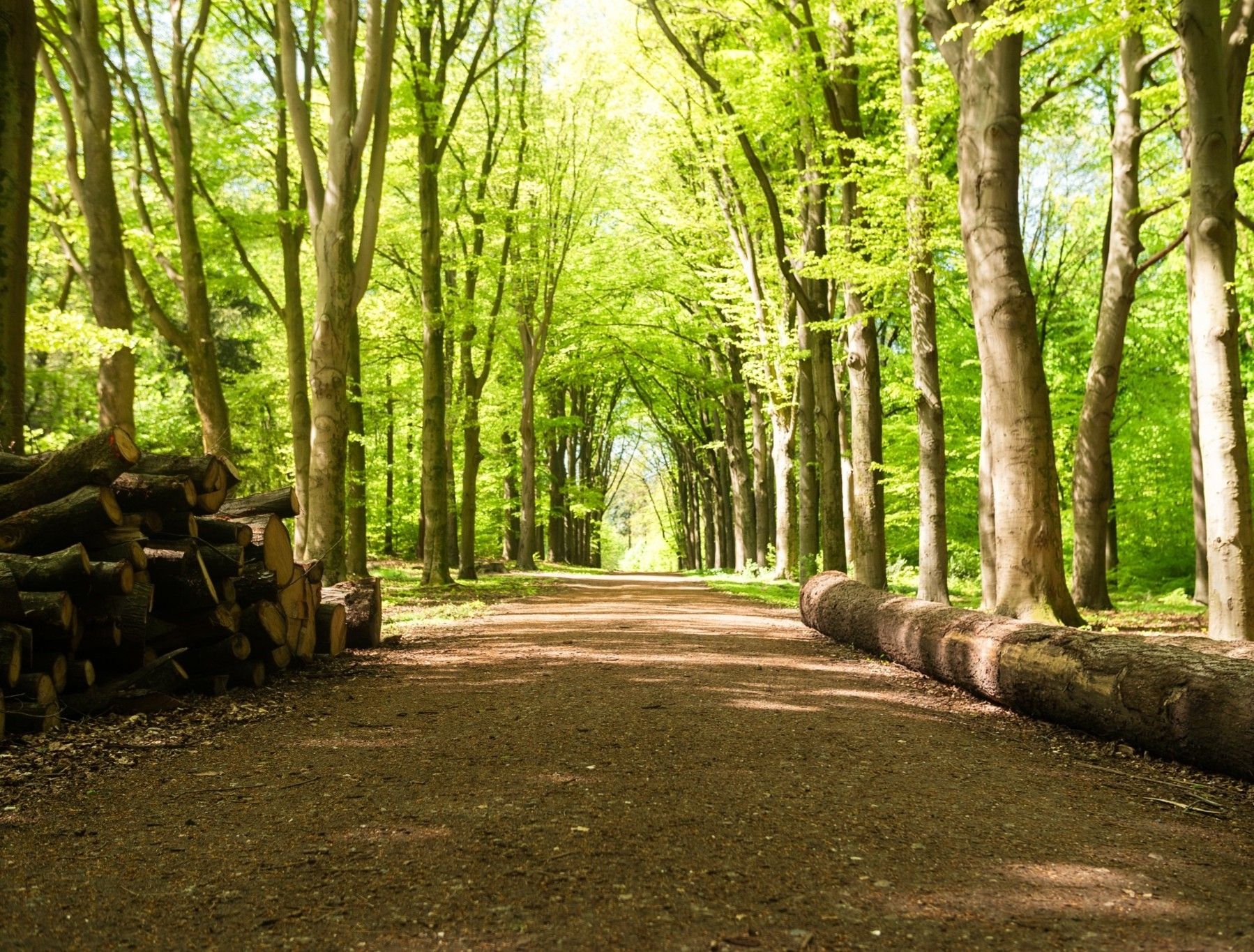 Foto 12 van Rijksstraatweg (Bouwnr. 12)