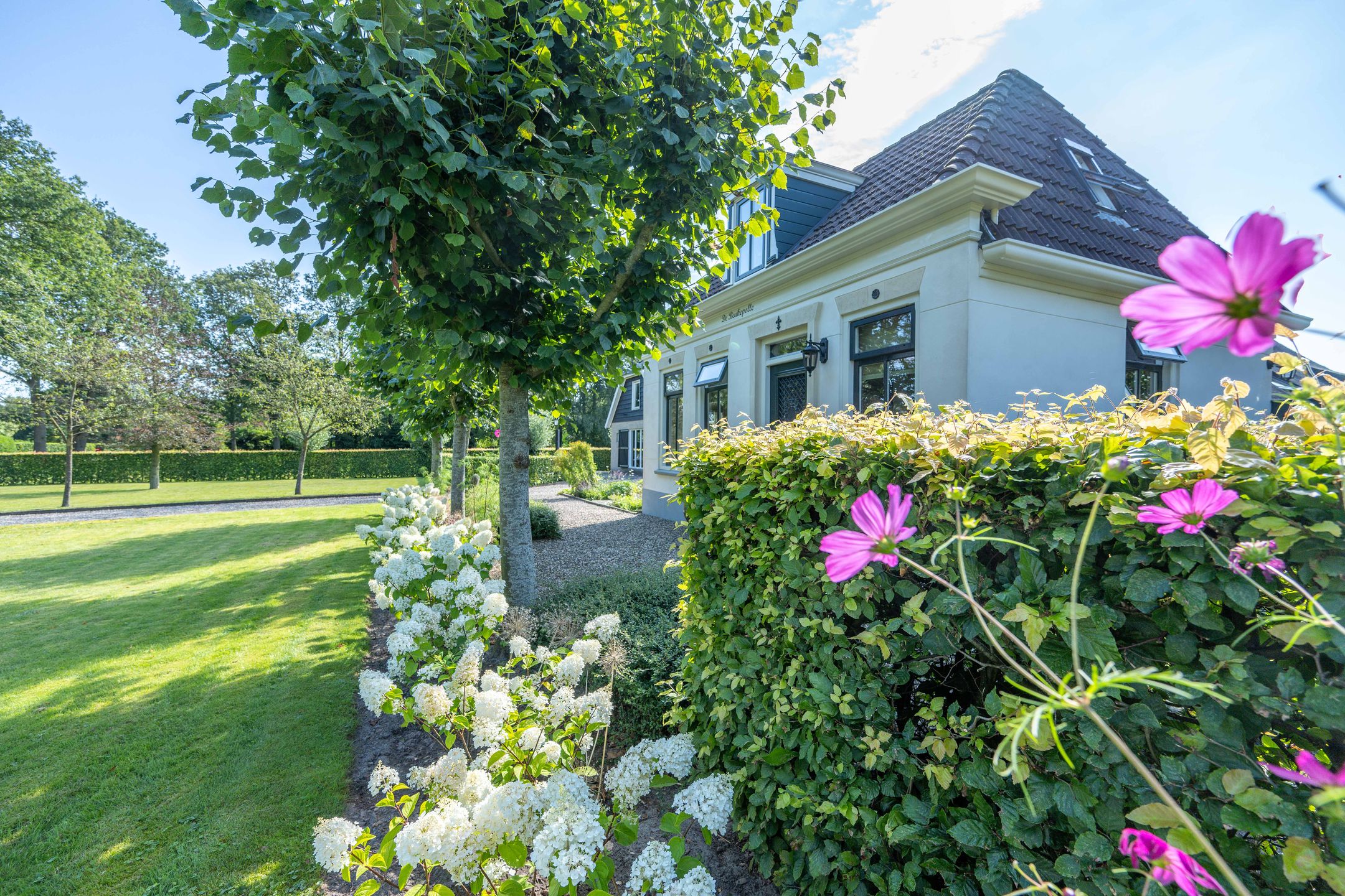 Foto 6 van Oosterstreek 54