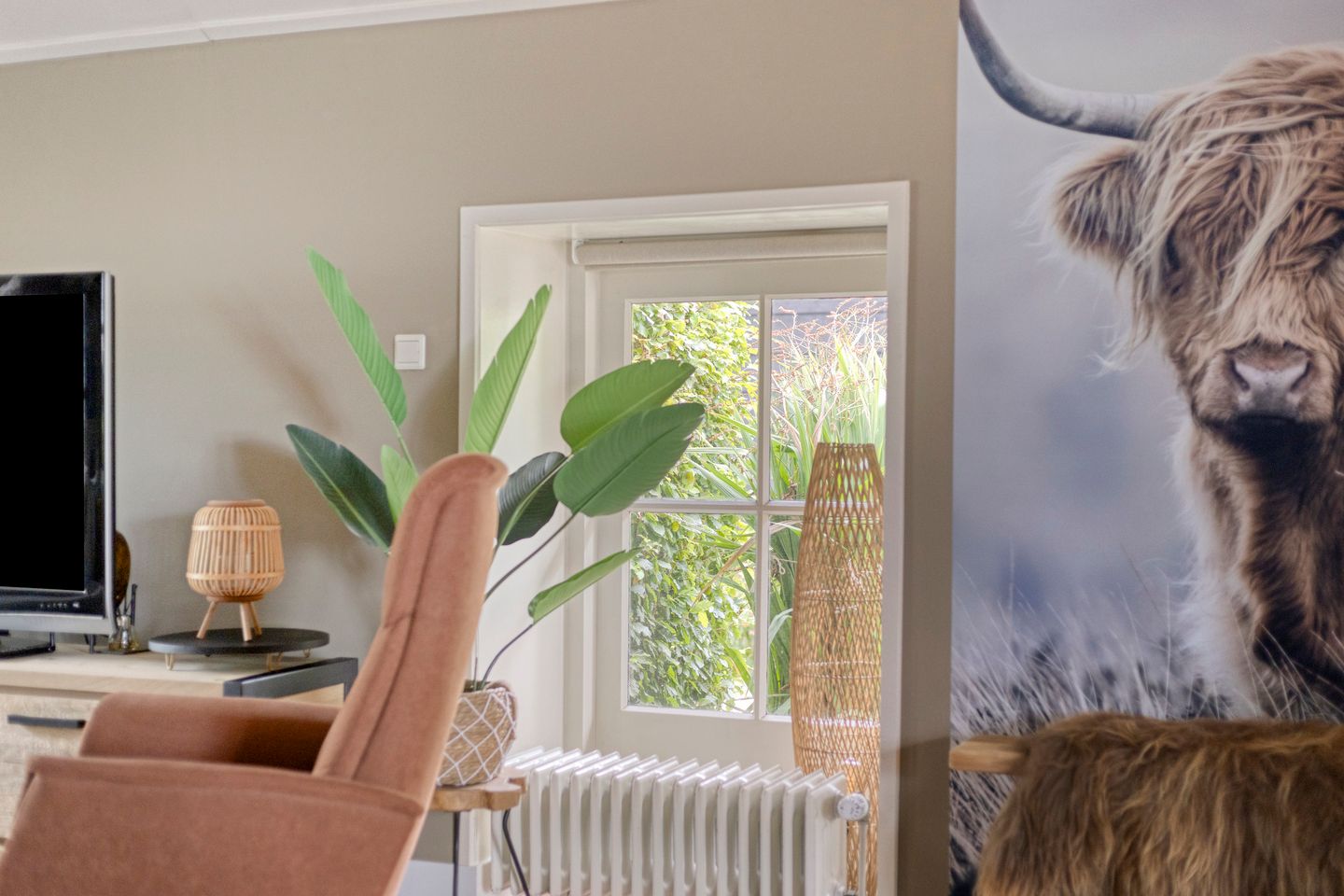 Foto 14 van Oosterstreek 54