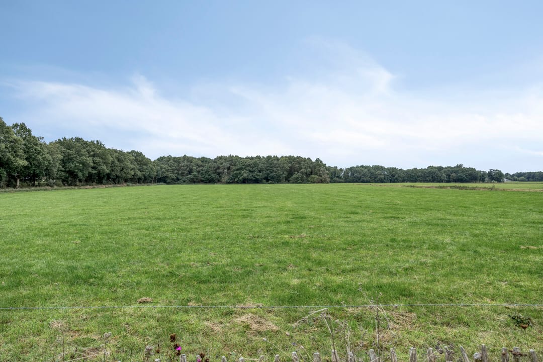 Foto 56 van Oosterstreek 54