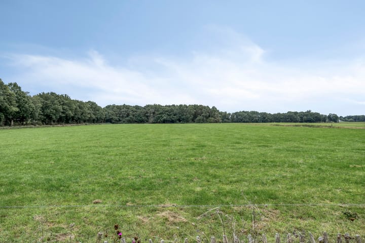 Foto 56 van Oosterstreek 54