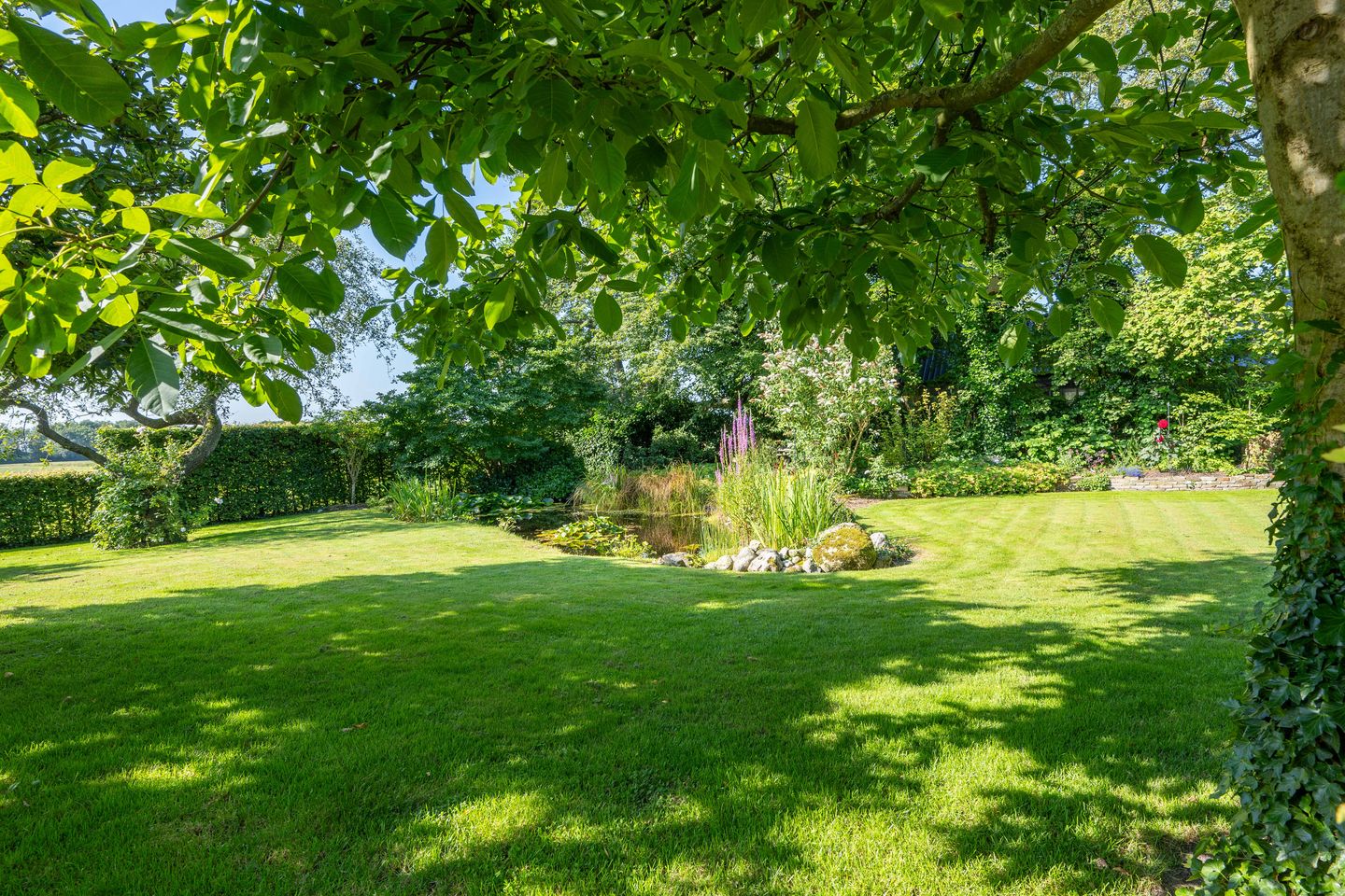 Foto 59 van Oosterstreek 54