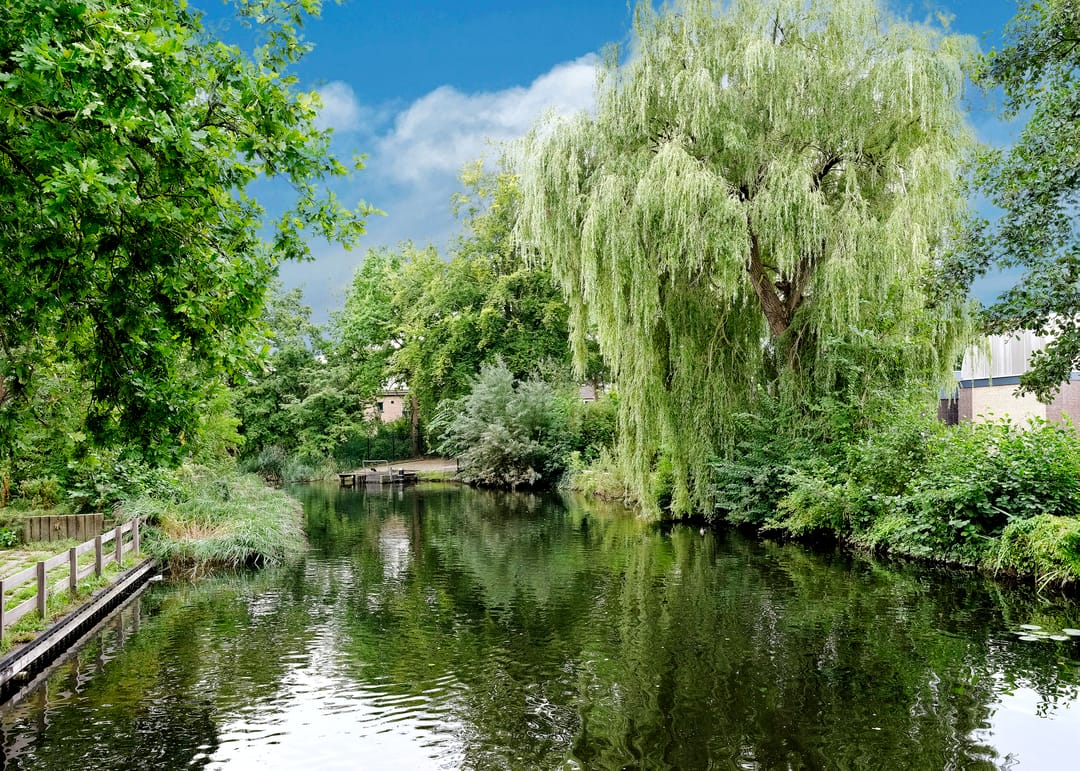 Foto 38 van C. Fabritiuspark 8