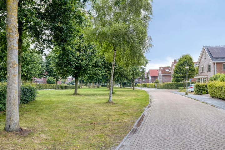 Foto 64 van Lange Hout 13