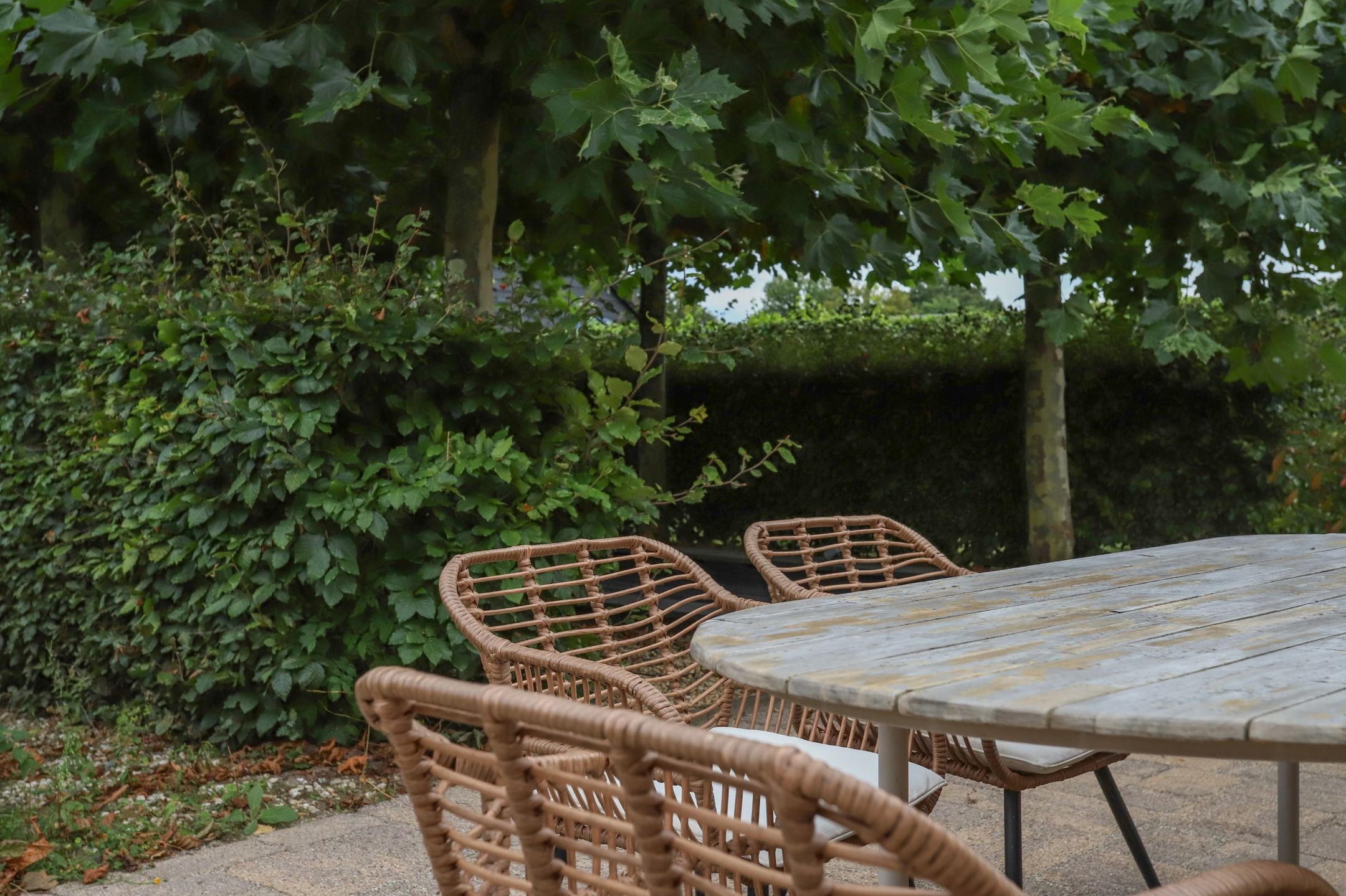 Photo 48 of Kleine Mheenweg 6-B