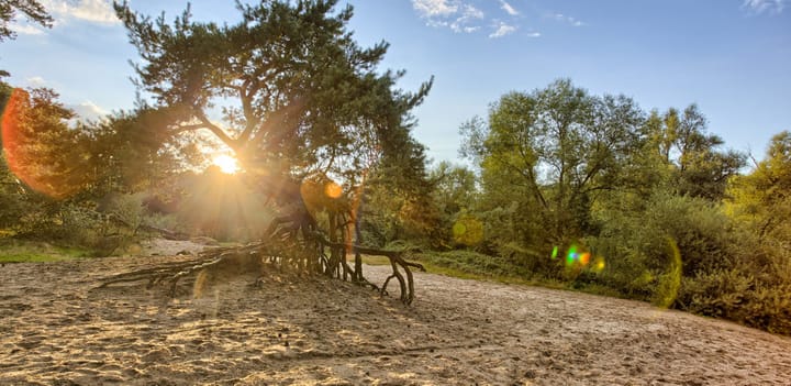Foto 4 van Tjaskermolen 46-D
