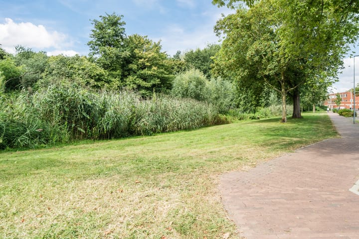 Foto 49 van Trompstraat 46