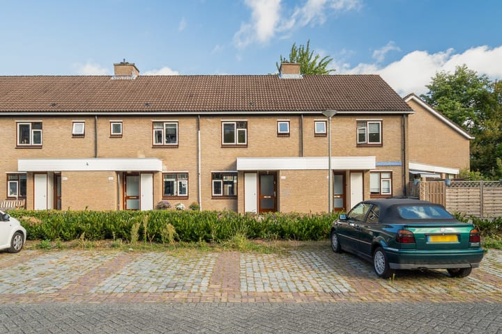 Foto 2 van Albert Schweitzerplaats 164