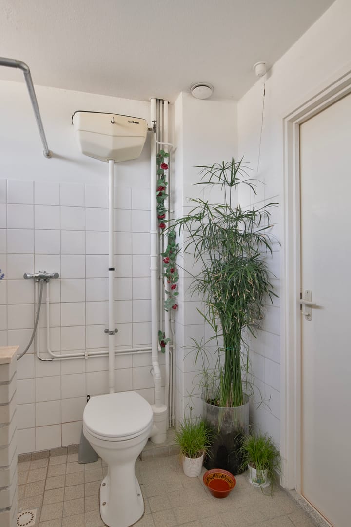 Photo 19 of Delta 15