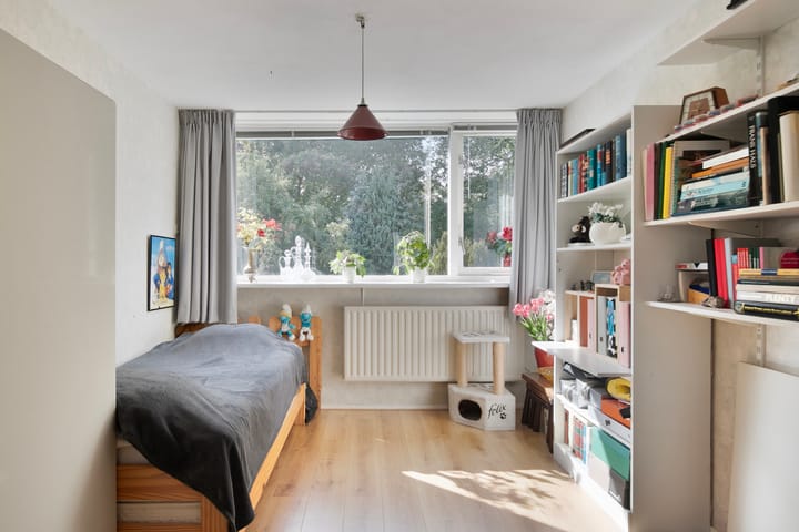 Photo 20 of Delta 15