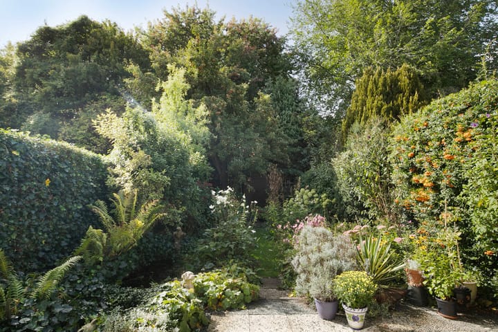 Photo 31 of Delta 15