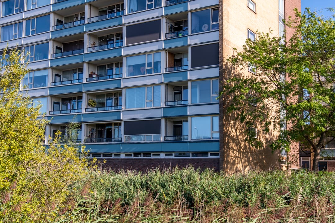 Foto 2 van De Grote Pekken 502