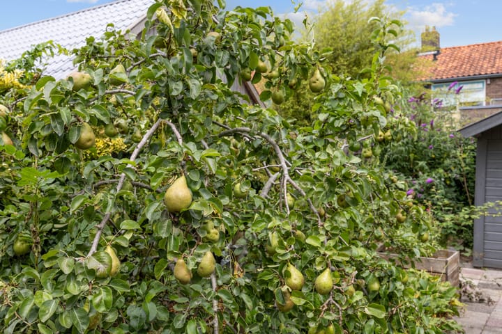 Foto 33 van Feansterdyk 13