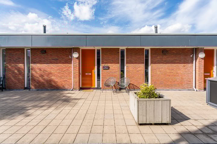 Foto 2 van Woestijnvalk 11