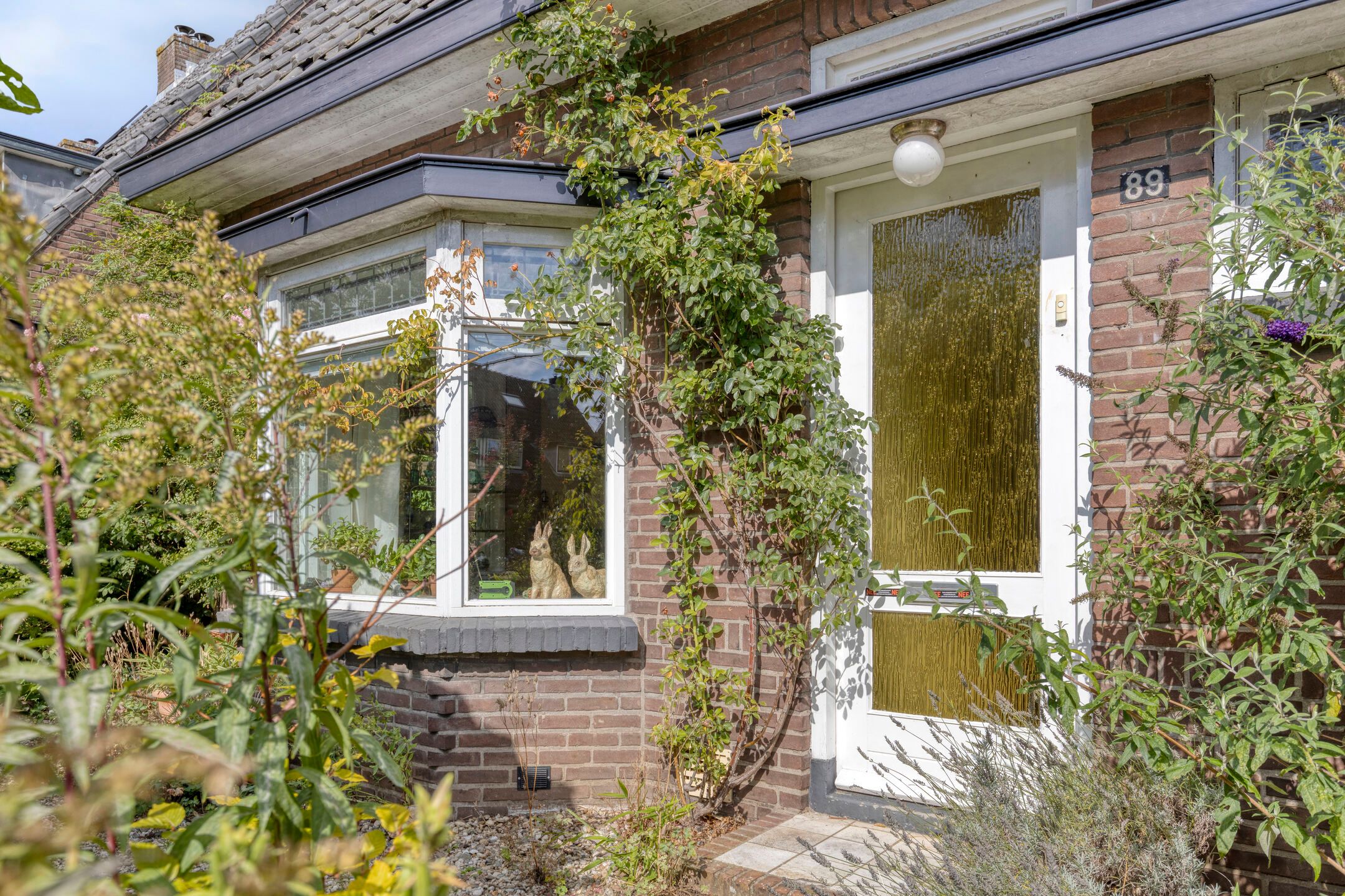 Foto 3 van Breegraven 89