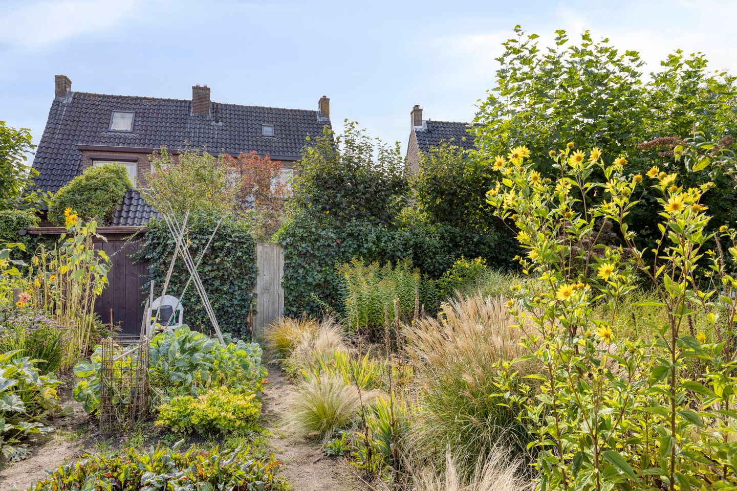 Foto 35 van Breegraven 89