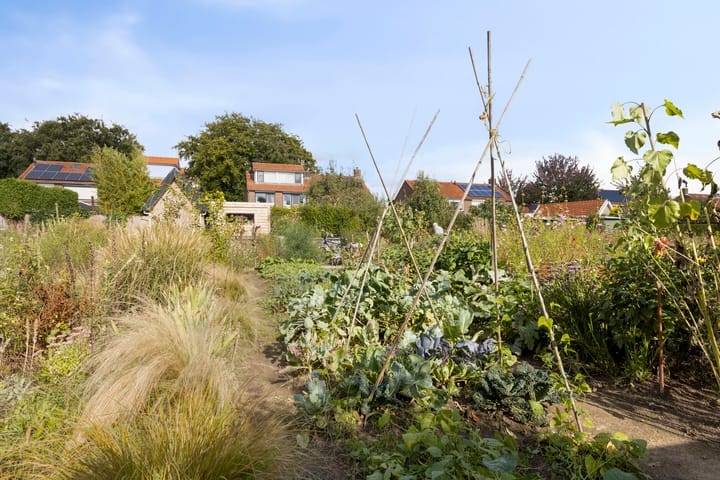 Foto 36 van Breegraven 89