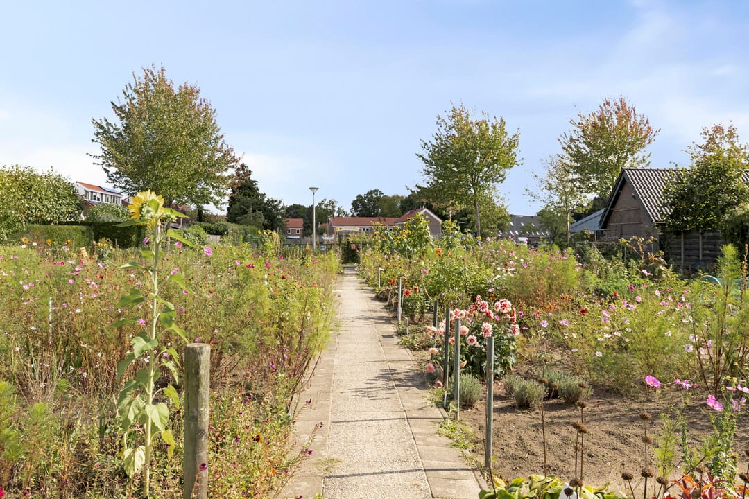 Foto 37 van Breegraven 89