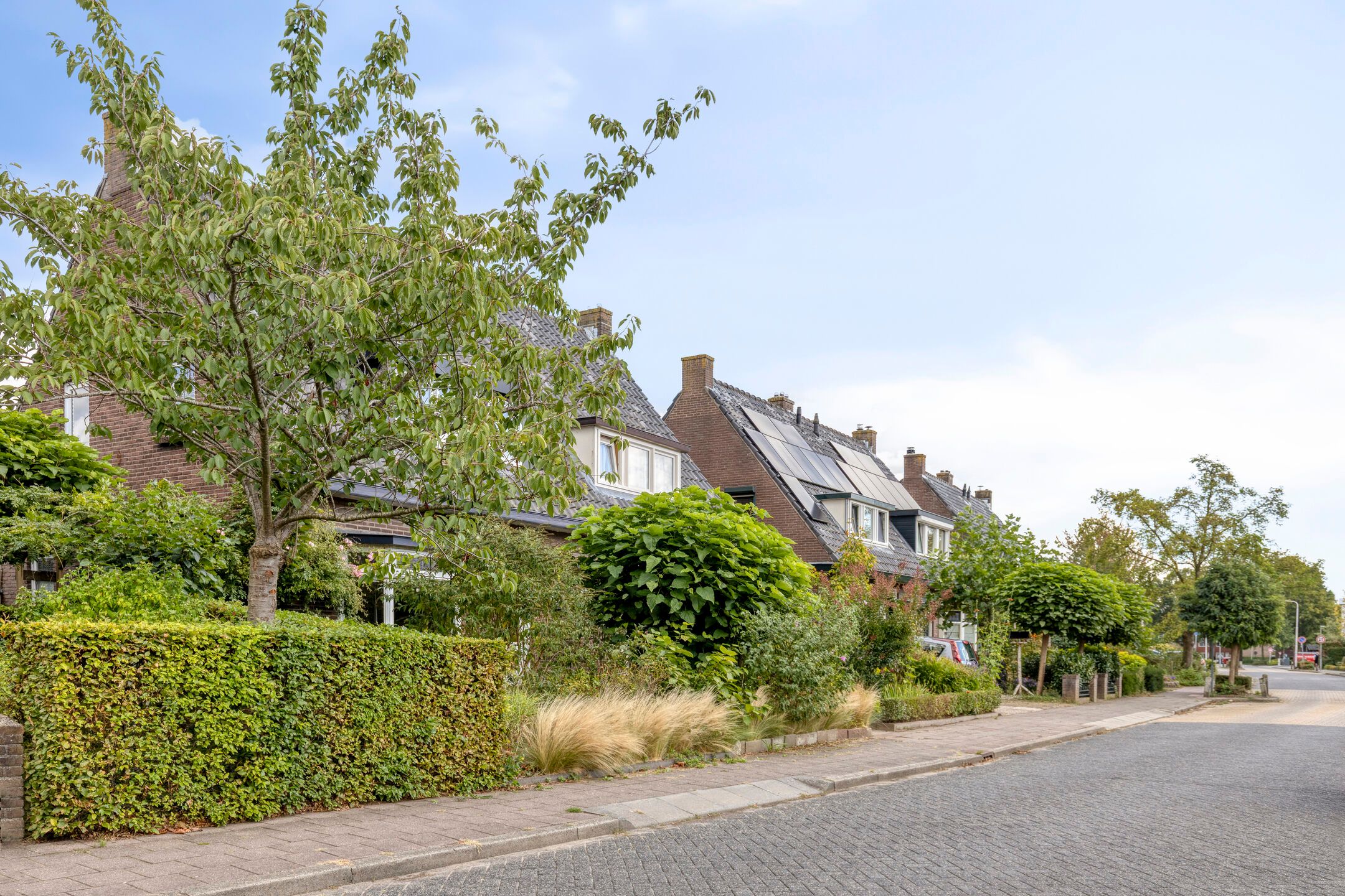 Foto 39 van Breegraven 89